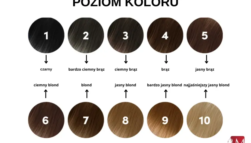 Jaka farba do włosów? Wybierz idealny kolor i typ!