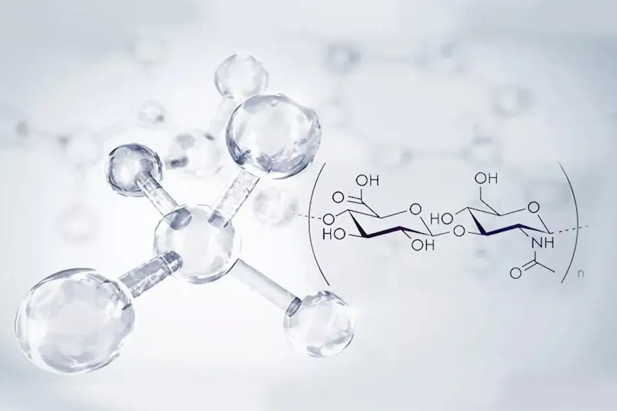 kwas hialuronowy budowa chemiczna skóra